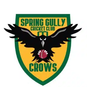 soring gully cricket club logo